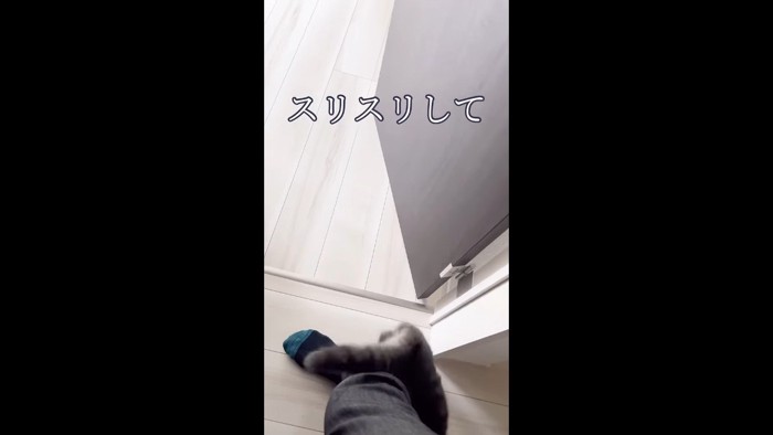 スリスリして