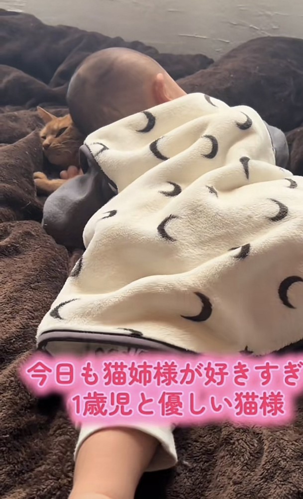 「今日も猫姉様が...」のテロップ写真4