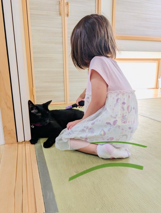 女の子にブラッシングされる黒猫