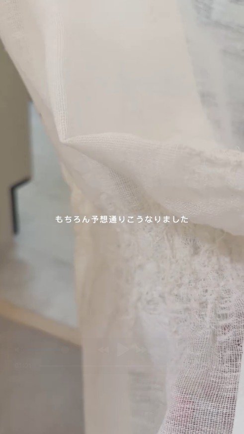 ほつれたカーテンを持つ飼い主