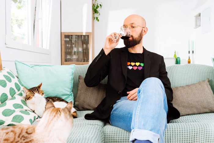 お酒を飲む飼い主と猫