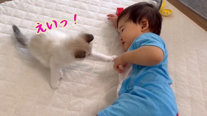 テロップ「えいっ!」