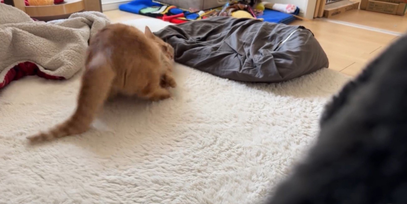 飛び退くいずくん