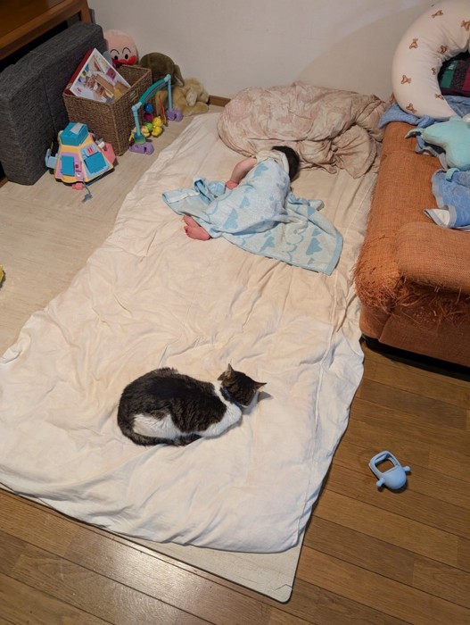 布団の上にいる赤ちゃんと猫