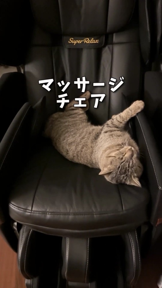 マッサージチェアの上で寝る猫