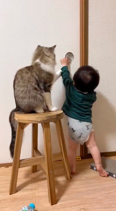 赤ちゃんの腕に前足を乗せて、扉を開けるのを阻止する猫