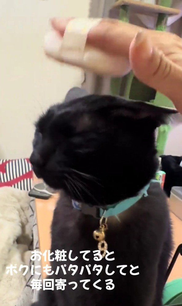 パフでパタパタされているナイトくん