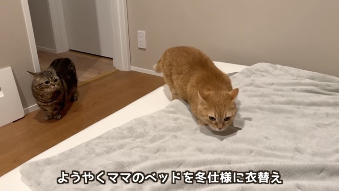 「ようやくママの...」のテロップ写真