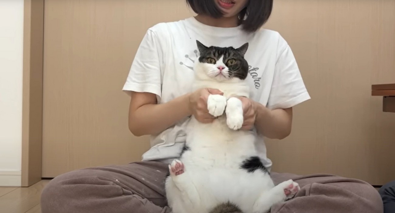猫の様子