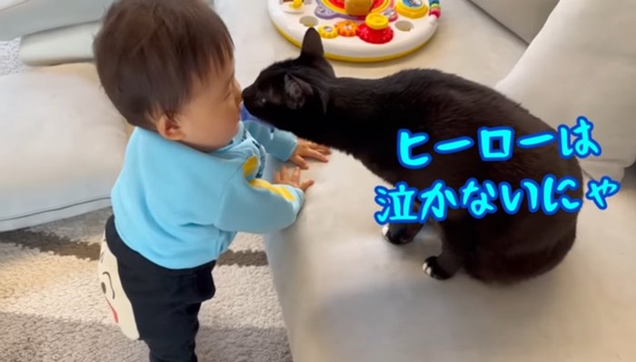 ヒーローは泣かないにゃ