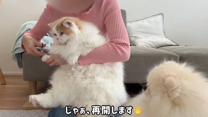 再開します