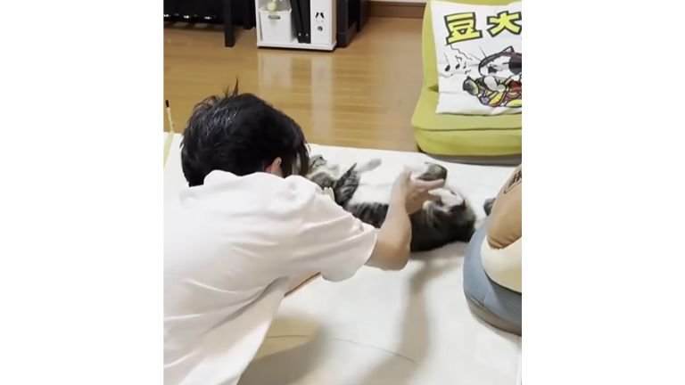 猫と男性