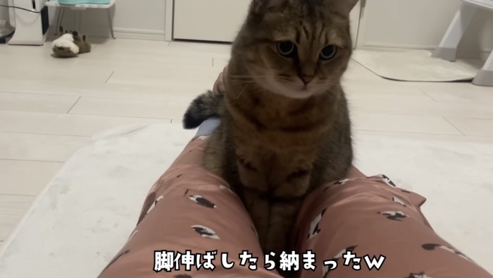 「足伸ばしたら...」のテロップ写真