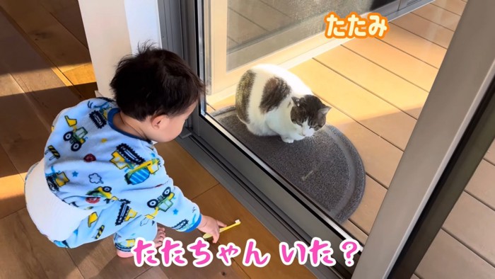 猫ママさん 膝の上でくつろぐ猫の隣で、もう1匹が『順番待ち』……ママを独り占め