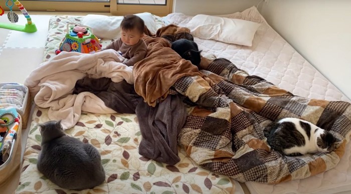 赤ちゃんと猫3匹