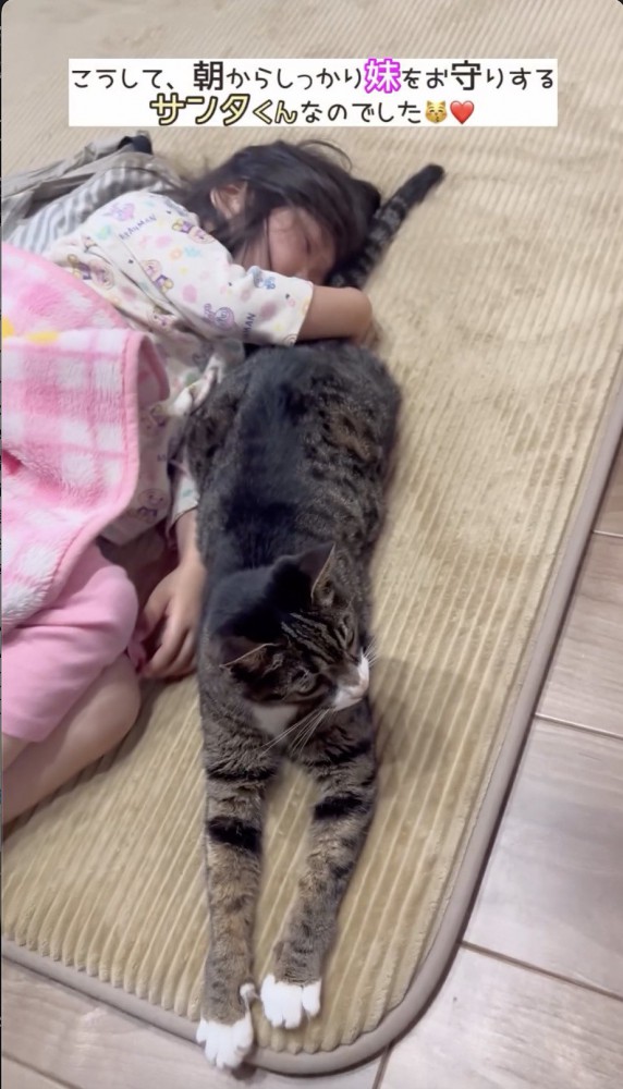 娘さんの隣で寝転ぶ猫