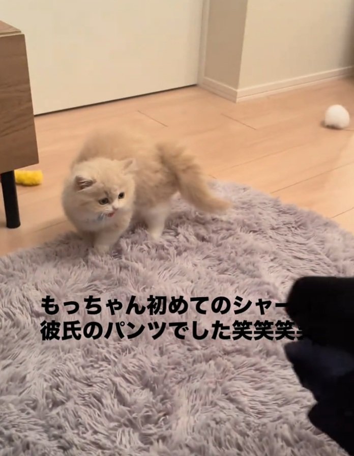 パンツを見つめるもなかくん