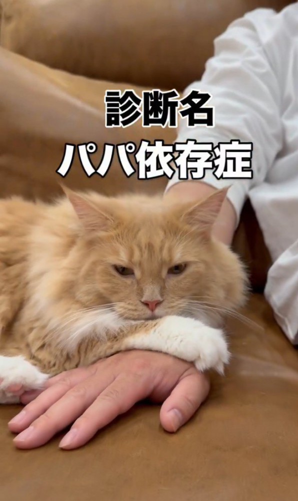 「診断名」と書かれた写真