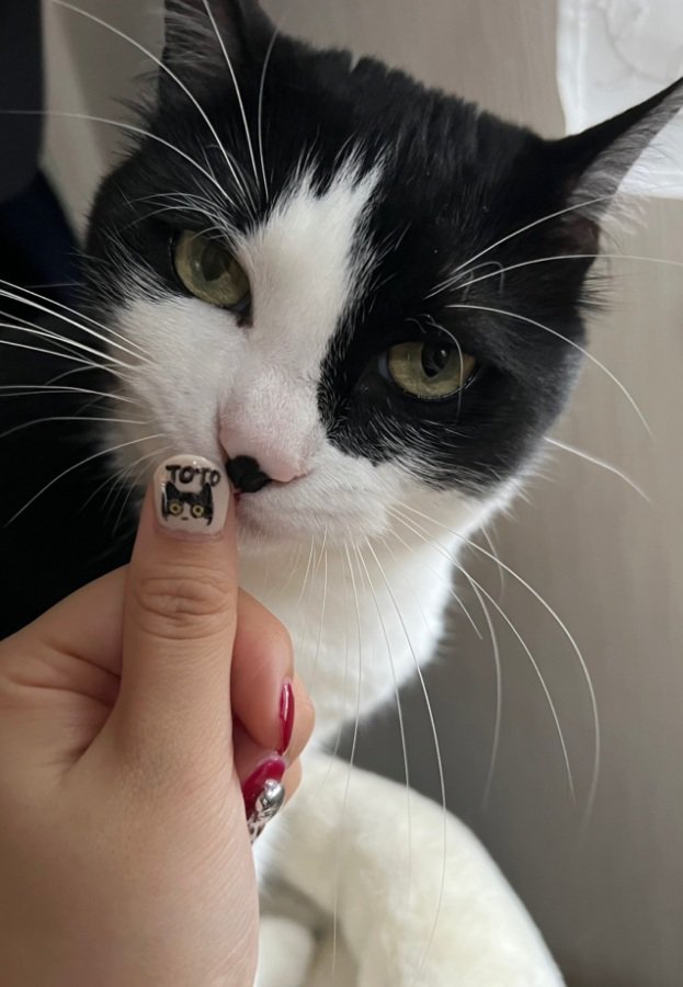 カメラ目線のトトくん