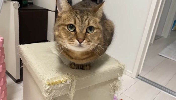 しゃがみ込んで