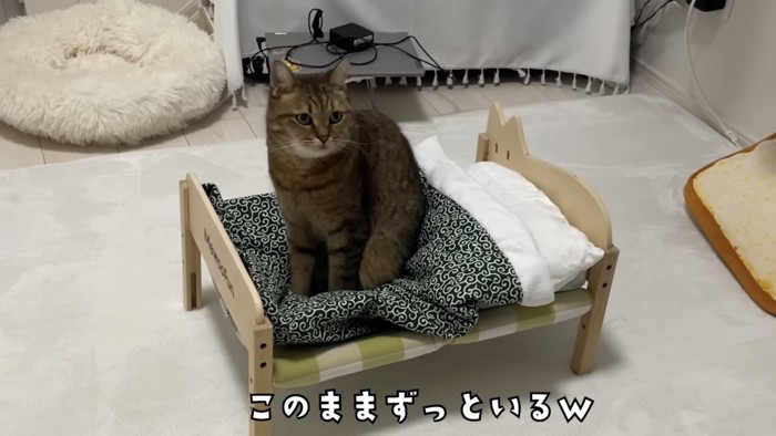 「このままずっといるw」のテロップ写真