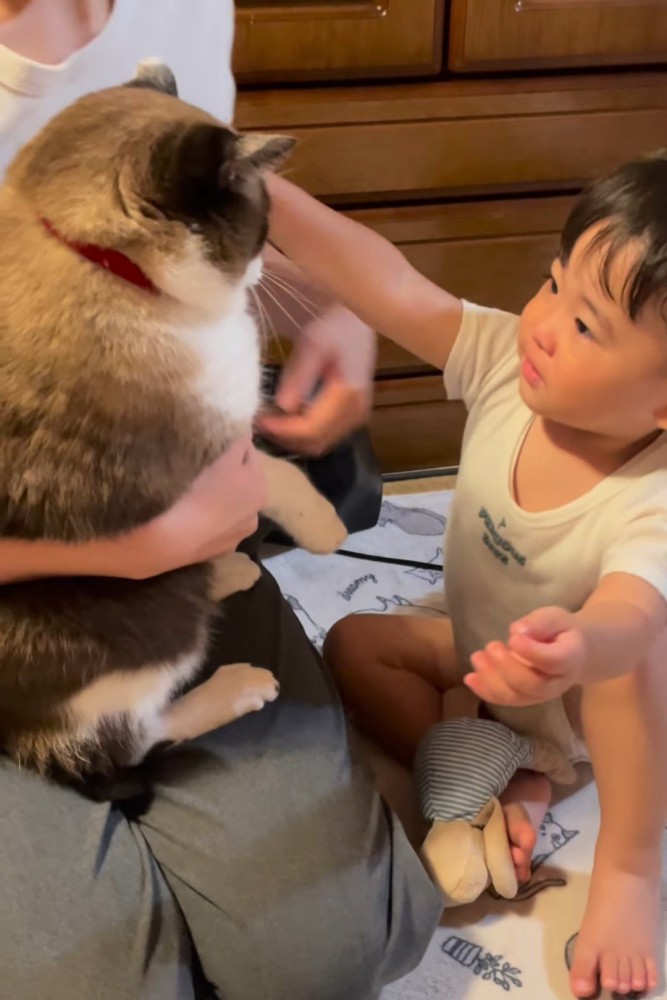 腕を広げる赤ちゃん