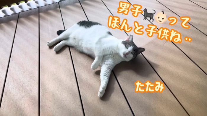テロップ「男子ってほんと~」