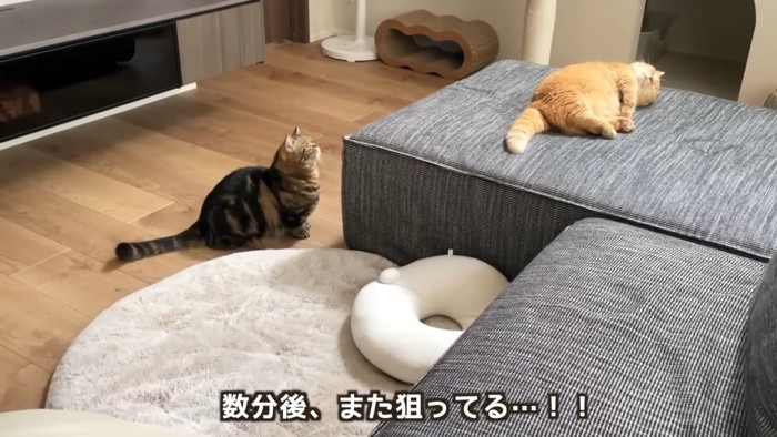 「数分後、また狙ってる…!!」