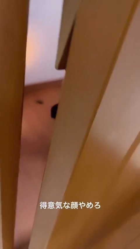 廊下にある黒いもの