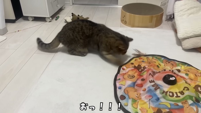 「おっ！！！」のテロップ写真