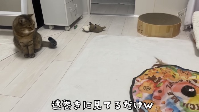 「遠巻きに見てるだけw」のテロップ写真