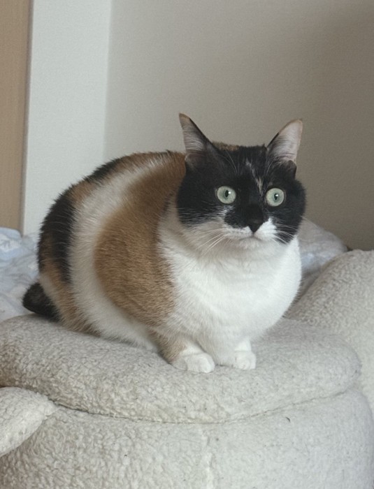 ビックリ顔の雷十太ちゃん