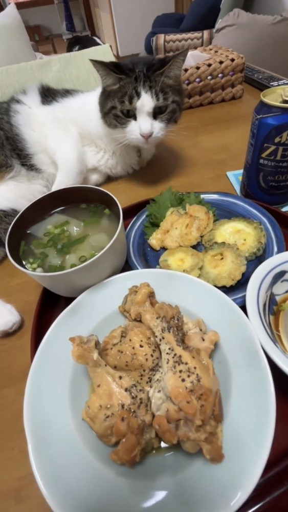 食卓で寝転がる猫