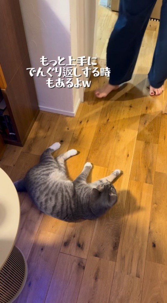 猫の倒れ方に笑う女性