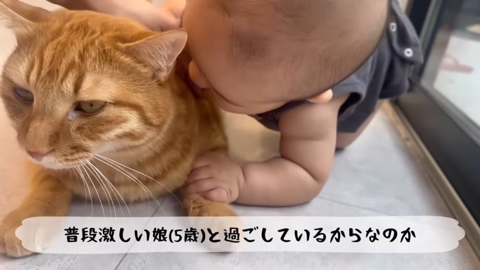 普段激しい娘と