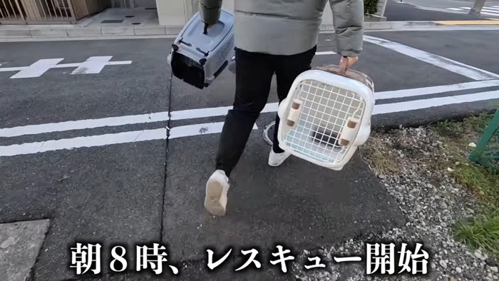 『つな』の誕生日にレスキューに向かう飼い主さん