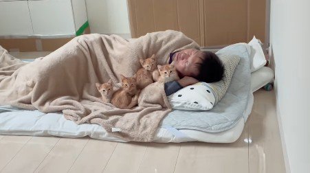 眠るパパさんにのっている4匹の猫