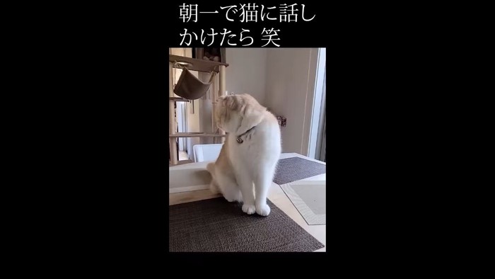 右を向く姿
