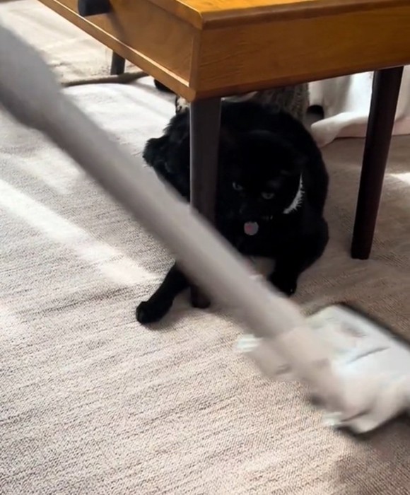 手を出すナチくん