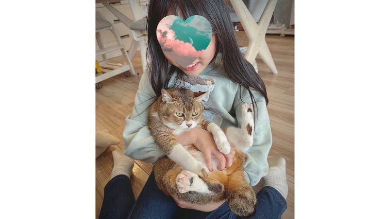 抱っこされている猫