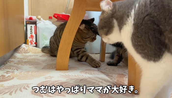 やっぱりママが大好き