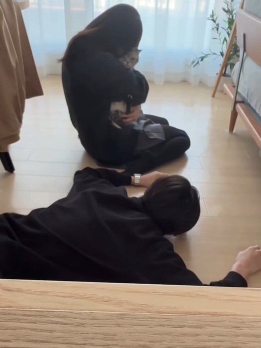 抱っこされる猫