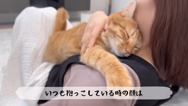 女性に抱っこされて目を閉じる猫