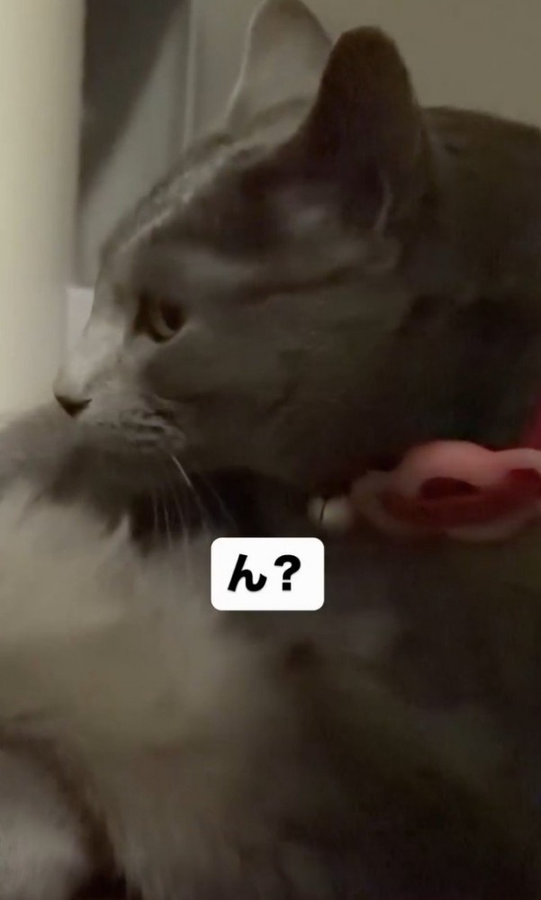 「ん?」と書かれた写真