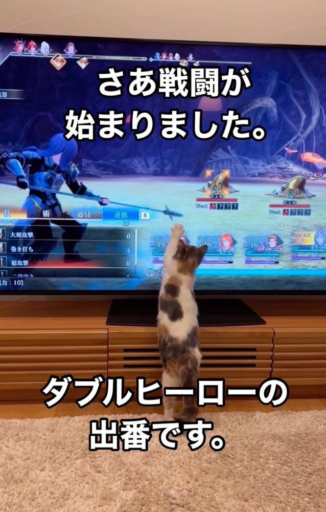 前足でテレビをひっかく猫