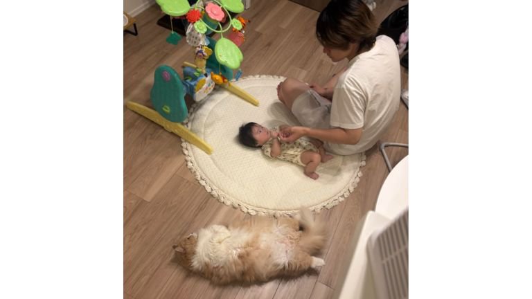 赤ちゃんと男性と猫