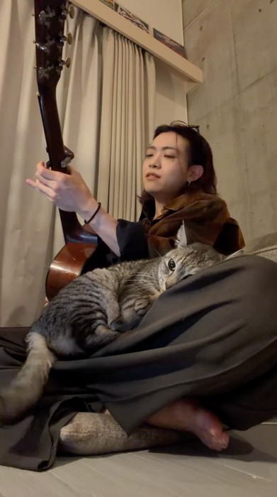 男性の膝の上に寝転がる猫