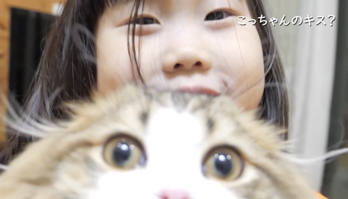 お子さま飼い主さんとこっちゃん