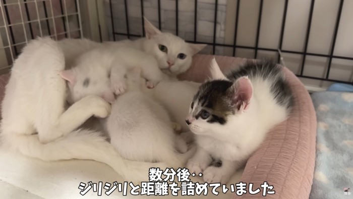 テロップ「数分後..」