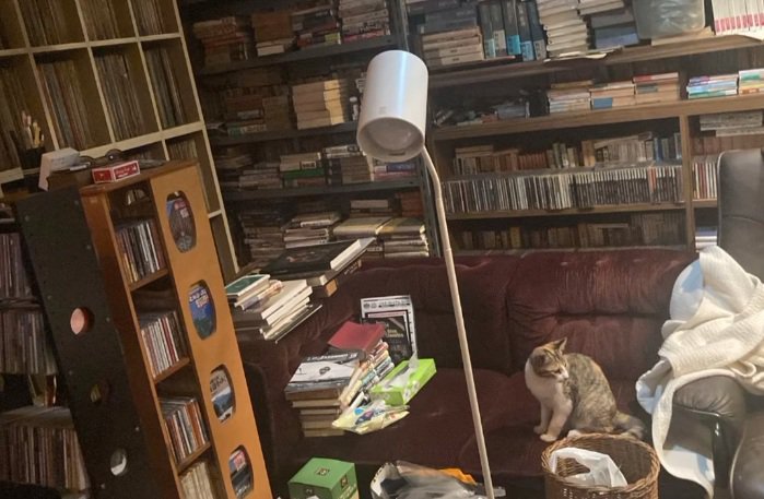 本棚の前で座っている猫